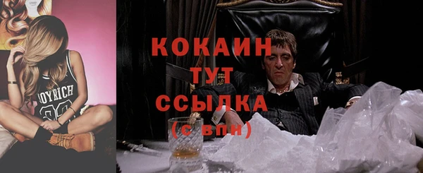 молекула духа Гусев